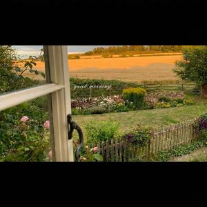 morning in the cottage garden