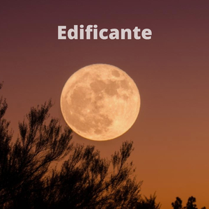Abundancia