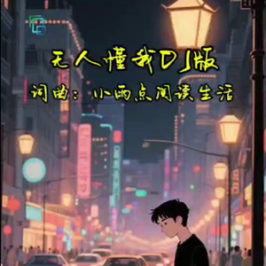 无人懂我DJ版
