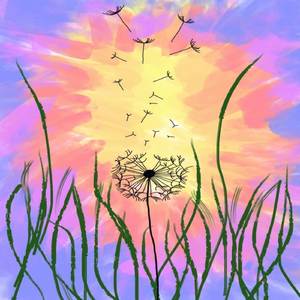 Milkweed