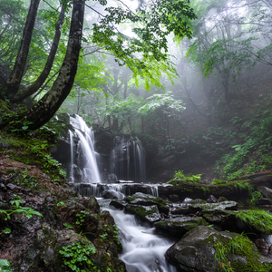 Spring in the Arctic