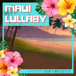 Hawaii's Sky