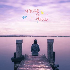 可惜不是你