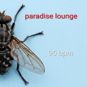 Paradise Lounge