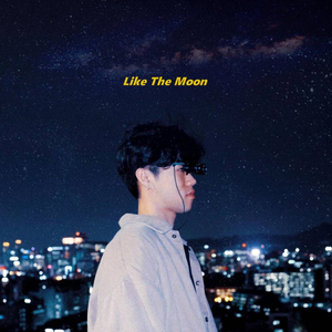 Like The Moon