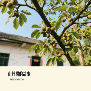 山核桃的故事
