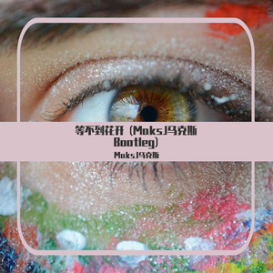 MaksJ马克斯-等不到花开 (MaksJ马克斯 Bootleg)