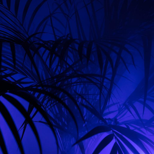 别装(prod.Gr33nart Beats)