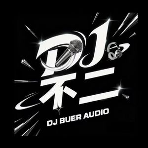 大头针AI - 泪海(DJ不二 FunkyHouse Rmx 2025)空灵鼓