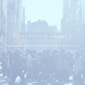 Morning Glory