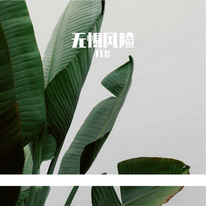 爱在细节里播放