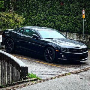 Black Beauty