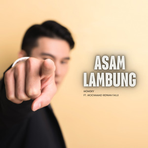 ASAM LAMBUNG