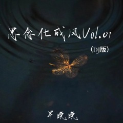 思念化成风Vol.01 (inst.)