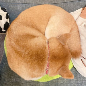 Hate It Or Love It (slowed)