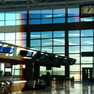 Roots Entwined in Enriched Soil