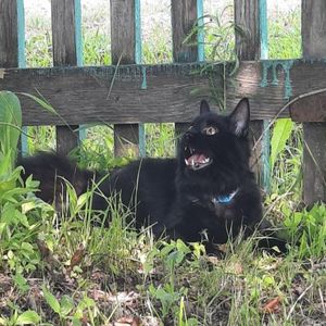 в интернете