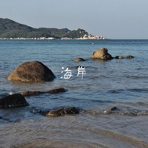 海岸