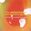 C.V. Jørgensen - Sort Vinter