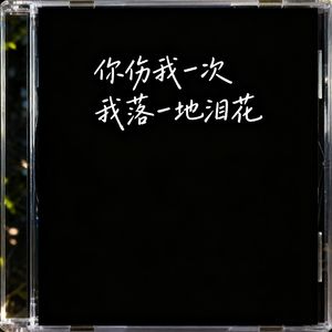 你伤我一次  我落一地泪花