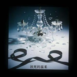 该死的温柔 (烟嗓男声版)