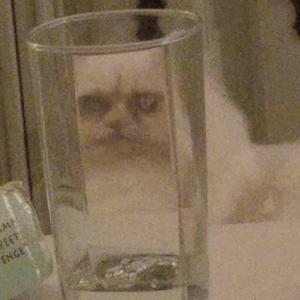 你还要带走多少人