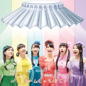 シャンプーハット