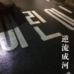 逆流成河 (DJ版)