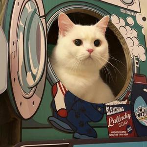 想你不断失眠 (Missing You I Can't Sleep)