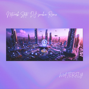 Network State (DJ smokin Remix)