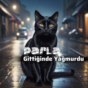 Gittiğinde Yağmurdu