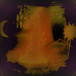 雨の公園で立ち往生