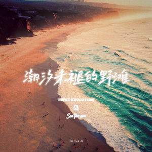 潮汐未褪的野滩