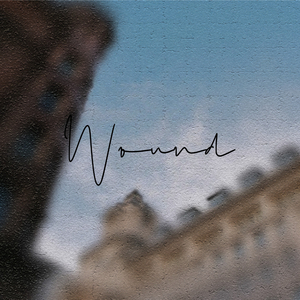 Wound
