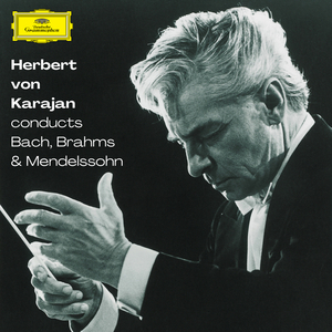 Symphony No. 2 in B-Flat Major, Op. 52 "Hymn of Praise":VI. Solo. Stricke des Todes hatten uns umfangen