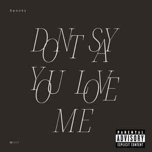 Don't Say You Love Me