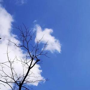 无数个明天到来