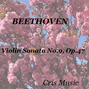 Violin Sonata No.9, Op. 47: 3. Finale. Presto