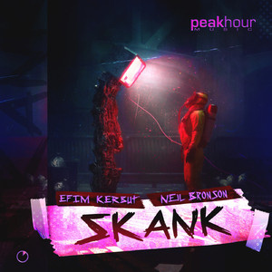 Skank (Radio Mix)