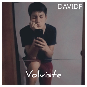 Volviste