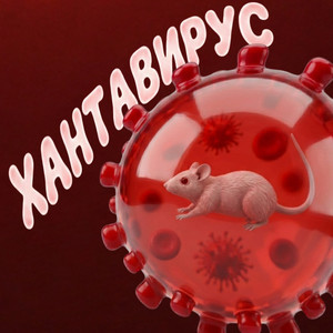 Хантавирус