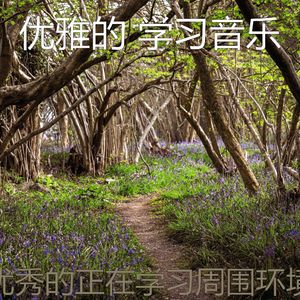 抚慰的专注回忆