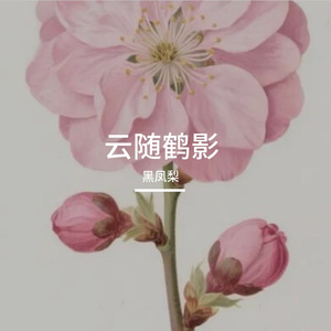 云随鹤影