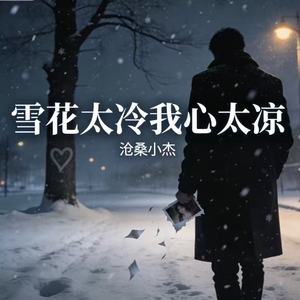 雪花太冷我心太凉(卡车司机DJ版)