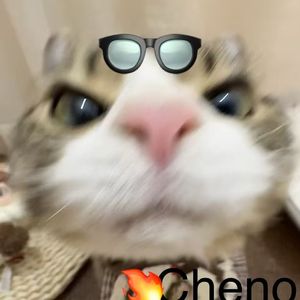 put 1t iN mY bag(Prod. by harui)