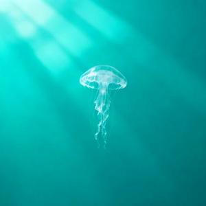 元来是这样 (Cover 周深)