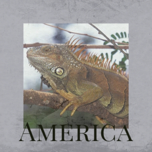 America