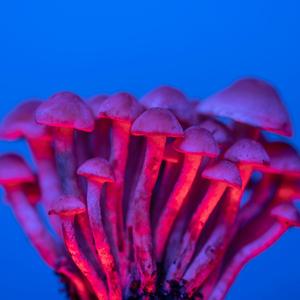 On a good one (feat. Lalo)