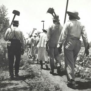 Employment and Income (feat. Coke Bumaye)