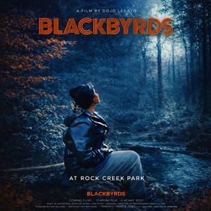 BLACKBYRDS
